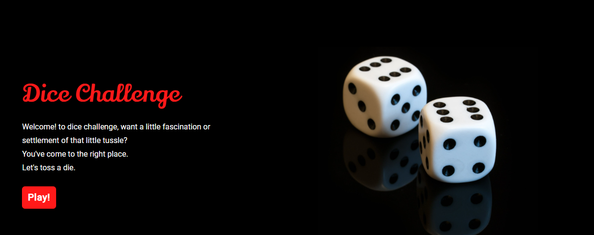 Computer Accessories